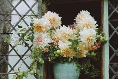 flores