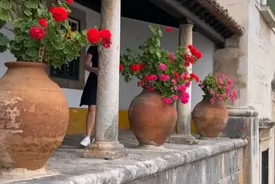 flores