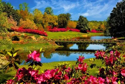 278 jigsaw puzzle