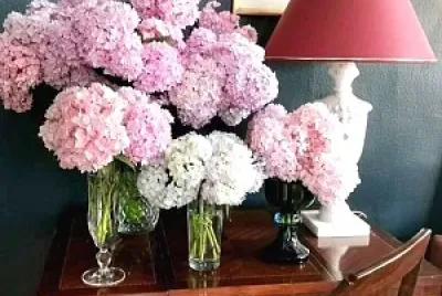 flores