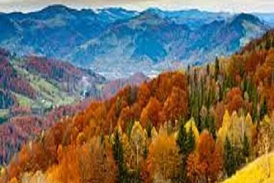 arbol jigsaw puzzle