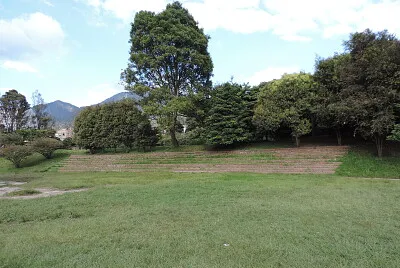 פאזל של Media torta