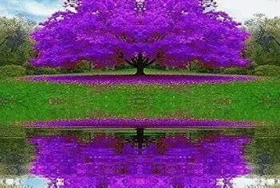 arbol jigsaw puzzle
