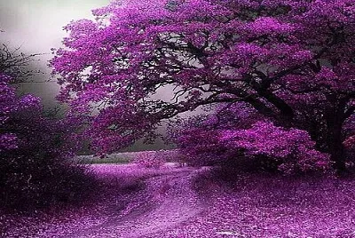 arbol jigsaw puzzle