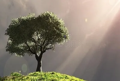 arbol jigsaw puzzle
