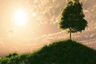arbol jigsaw puzzle