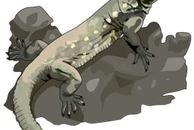 LAGARTO GIGANTE DEL HIERRO