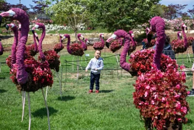 Topiary flamingoes