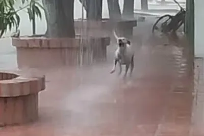 lluvia