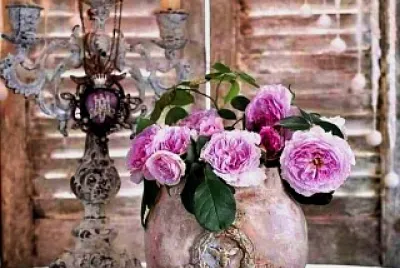 velas
