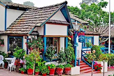 479.- MORADA VERANIEGA jigsaw puzzle