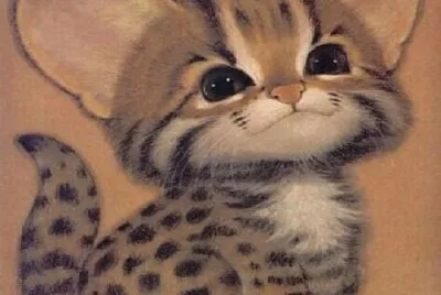 tierno