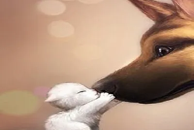 פאזל של tierno