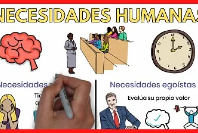 necesidades