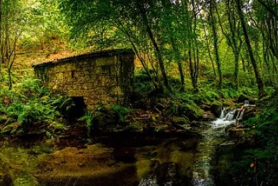 Galicia