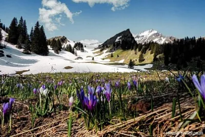 La Chapelle d 'Abondance jigsaw puzzle