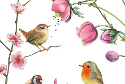 birds jigsaw puzzle