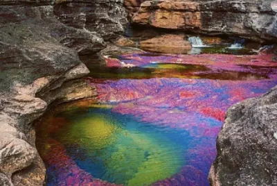 CAÑO CRISTALES :)