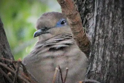 POSANSO
