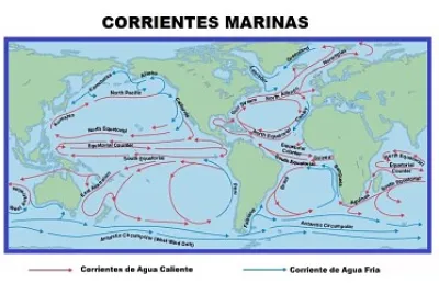 corrientes marinas jigsaw puzzle