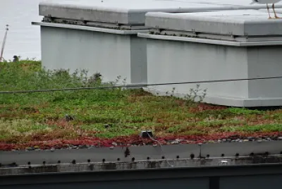 Petits goélands Théatre