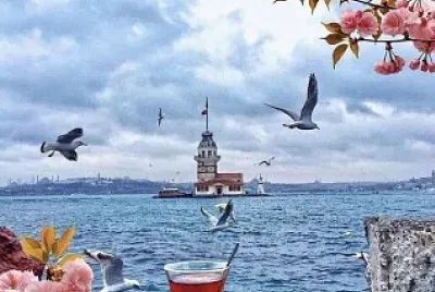 Hermosa Vista