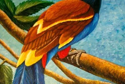 Tucan