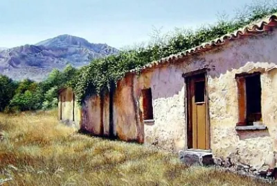 Campo