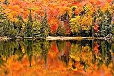 autumn #288 jigsaw puzzle