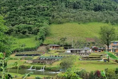 COCONUCO CAUCA