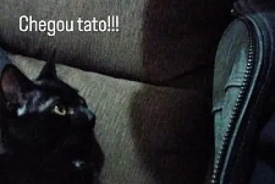 Teste 1 jigsaw puzzle