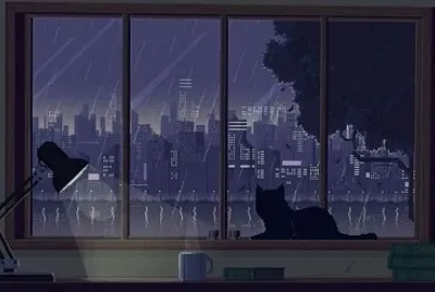 Gato