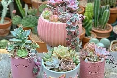 jardín