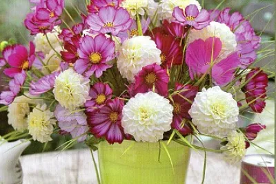 Bouquet