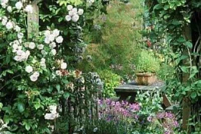 Monet