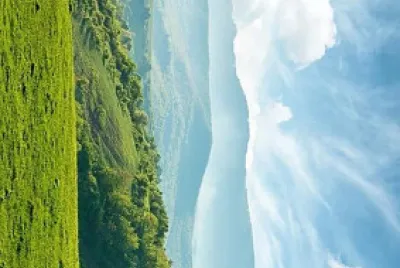 paisagem2.0