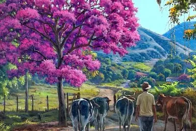 Caipira