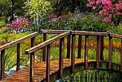 Puente rio
