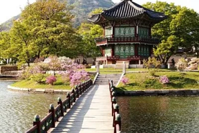 ponte