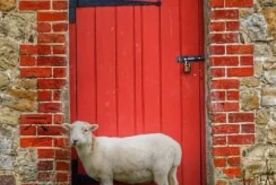 portal