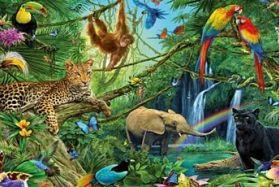Animales selva