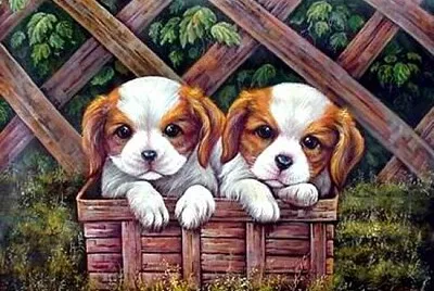 Perritos