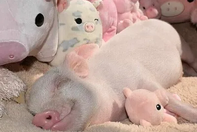 ❤️