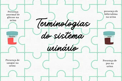 Terminologias do sistema urinário