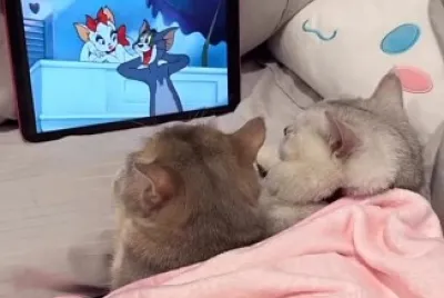 ❤️