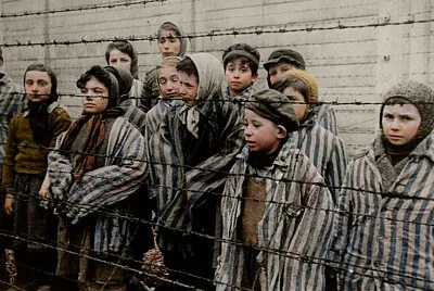 Holocausto