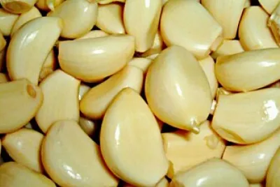 Aglio