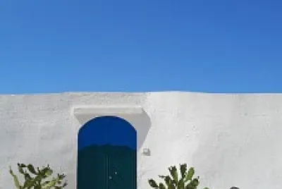 Imm