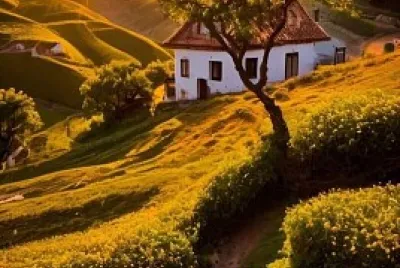Atardecer