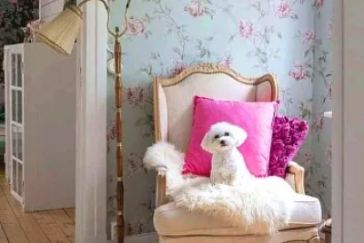 perro